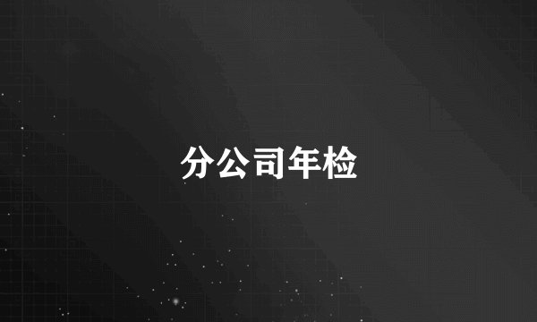 分公司年检
