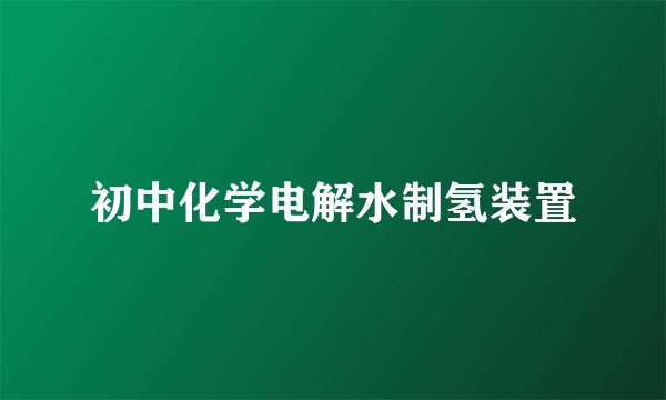 初中化学电解水制氢装置