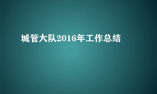 城管大队2016年工作总结