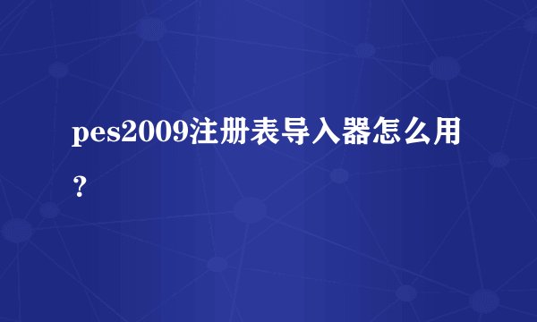 pes2009注册表导入器怎么用？