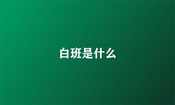 白班是什么