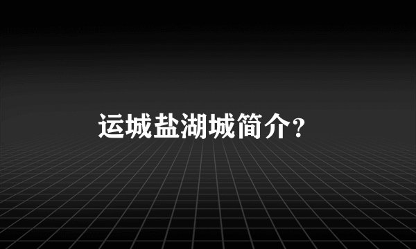 运城盐湖城简介？