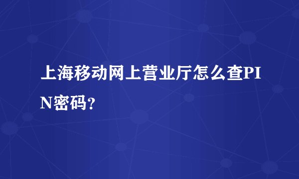 上海移动网上营业厅怎么查PIN密码？