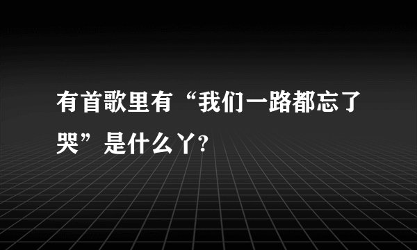 有首歌里有“我们一路都忘了哭”是什么丫?