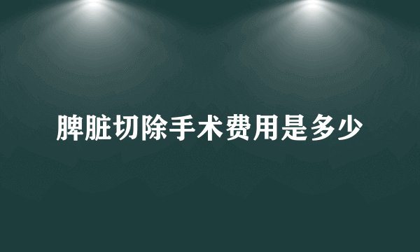 脾脏切除手术费用是多少