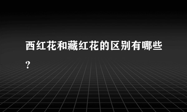 西红花和藏红花的区别有哪些？