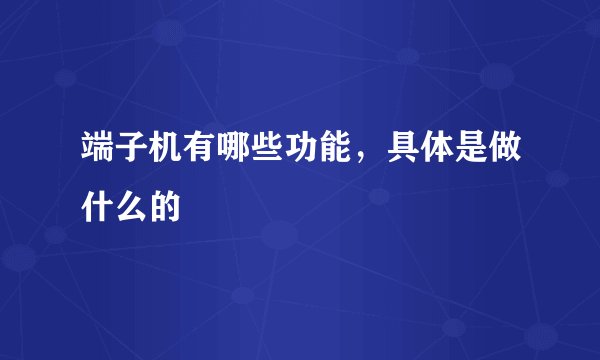 端子机有哪些功能,具体是做什么的