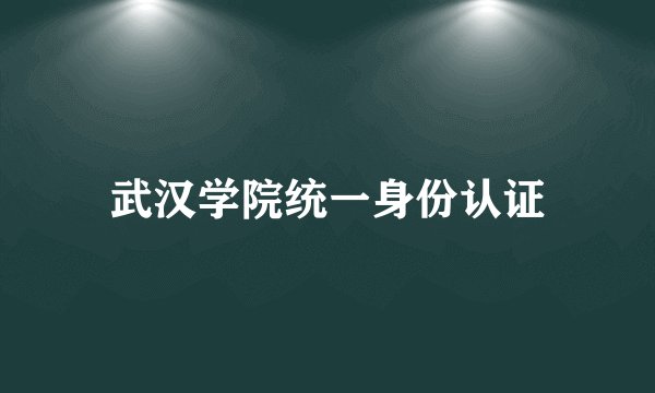 武汉学院统一身份认证