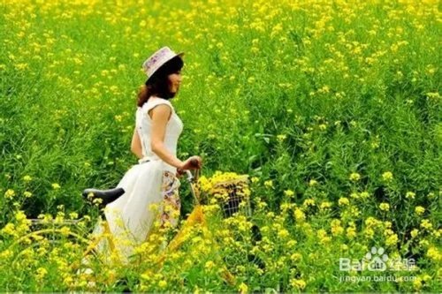 清明节怎么发朋友圈？