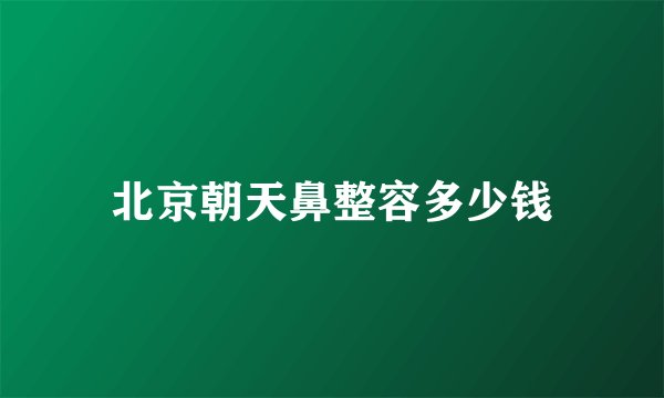 北京朝天鼻整容多少钱