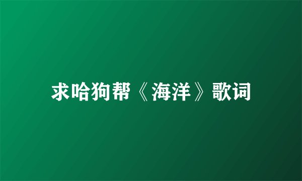 求哈狗帮《海洋》歌词