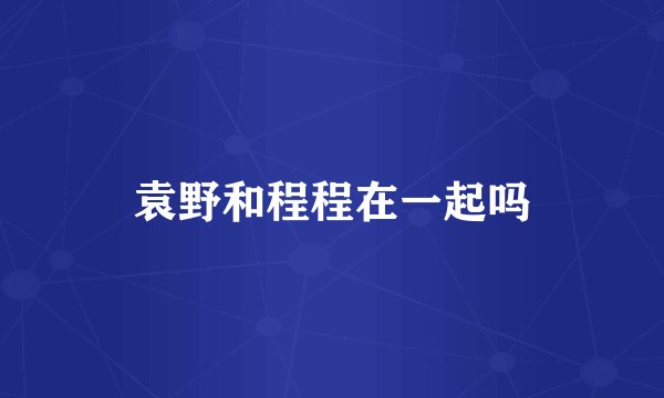 袁野和程程在一起吗