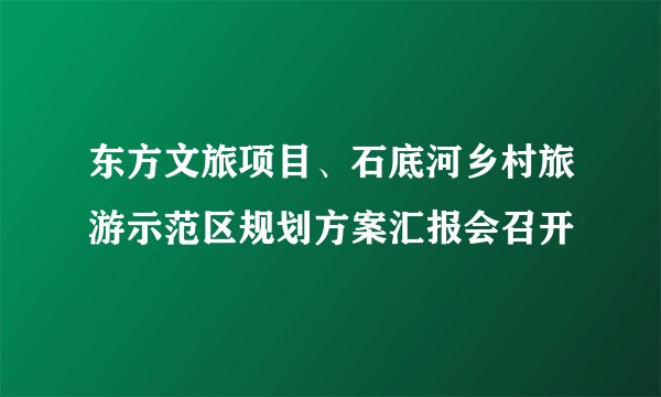 东方文旅项目、石底河乡村旅游示范区规划方案汇报会召开