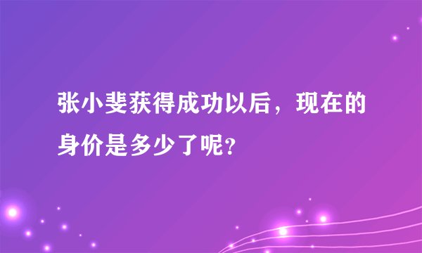 张小斐获得成功以后，现在的身价是多少了呢？