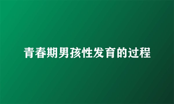 青春期男孩性发育的过程