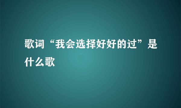 歌词“我会选择好好的过”是什么歌