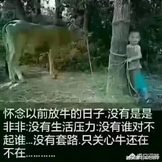 假如有人给你50元一天让你不接触手机,你能坚持多久?