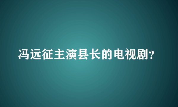 冯远征主演县长的电视剧?