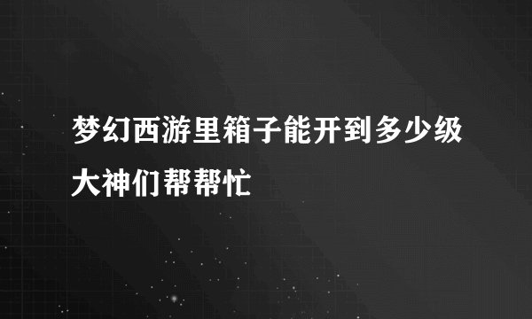 梦幻西游里箱子能开到多少级大神们帮帮忙