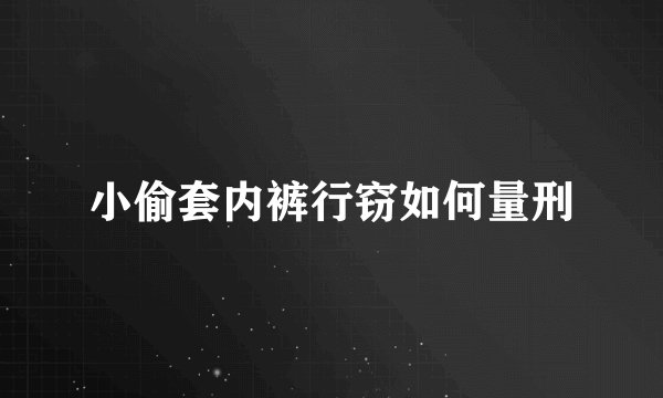 小偷套内裤行窃如何量刑