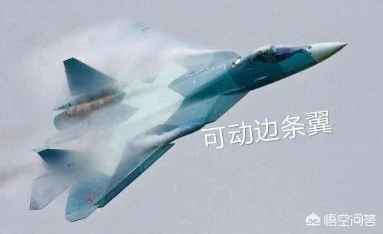 歼20战机在未来换装具有矢量推力的涡扇15发动机后会取消鸭翼吗？