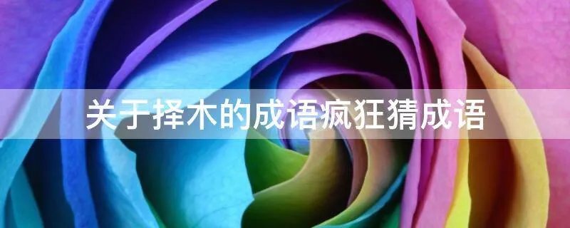 关于择木的成语疯狂猜成语