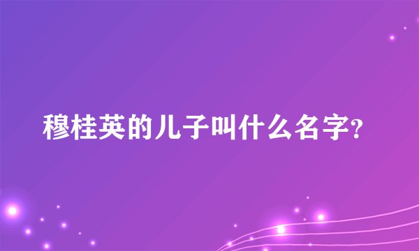 穆桂英的儿子叫什么名字?