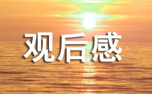 《迁徙的鸟》观后感
