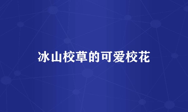 冰山校草的可爱校花
