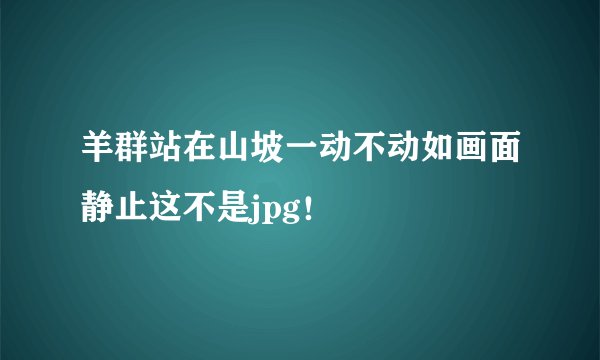 羊群站在山坡一动不动如画面静止这不是jpg！