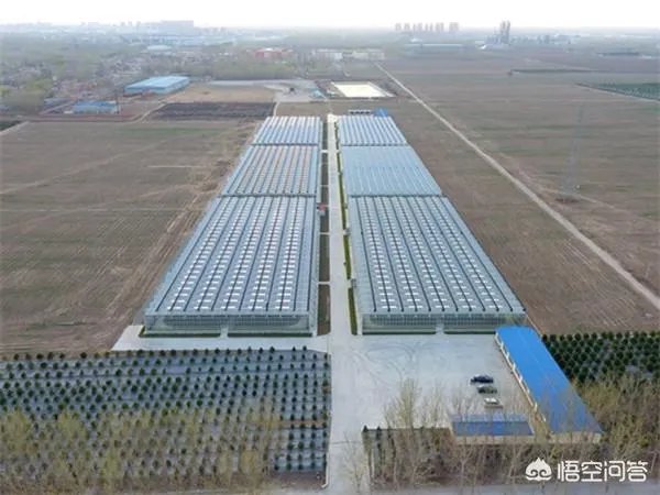 智慧农业解决方案有哪些？