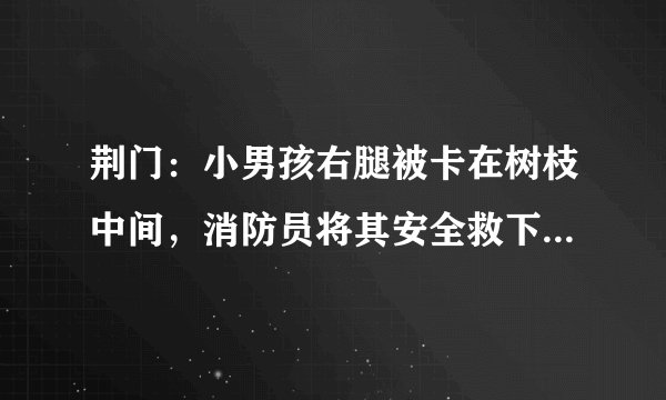 荆门：小男孩右腿被卡在树枝中间，消防员将其安全救下, 你怎么看？