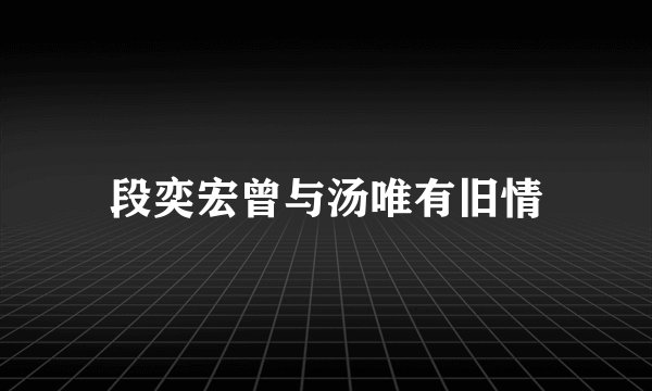 段奕宏曾与汤唯有旧情
