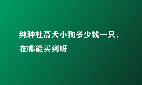 纯种杜高犬小狗多少钱一只，在哪能买到呀