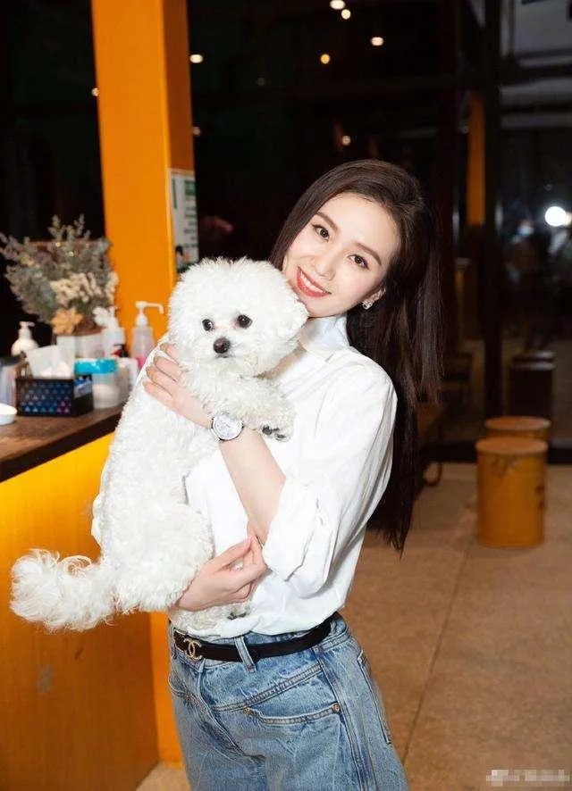 李佳琦带爱犬去宠物学校学习期间被拍到抽烟,大家如何看待?