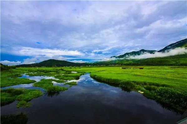 湿地为什么称为地球之肾