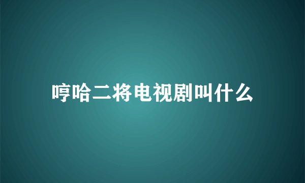 哼哈二将电视剧叫什么