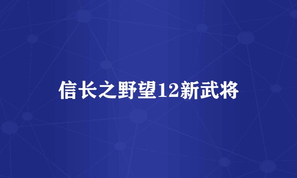 信长之野望12新武将