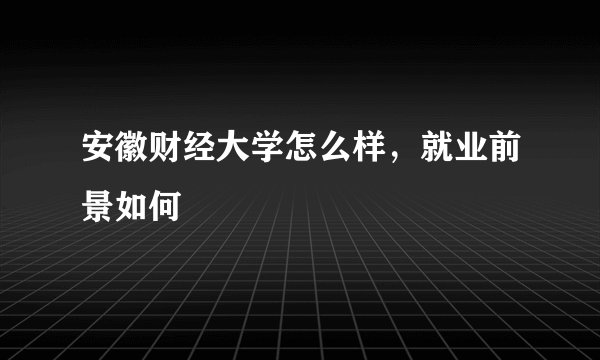 安徽财经大学怎么样，就业前景如何