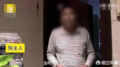 宠物狗不牵绳追撵9岁男童,深圳犬主被罚款500元, 你怎么看?