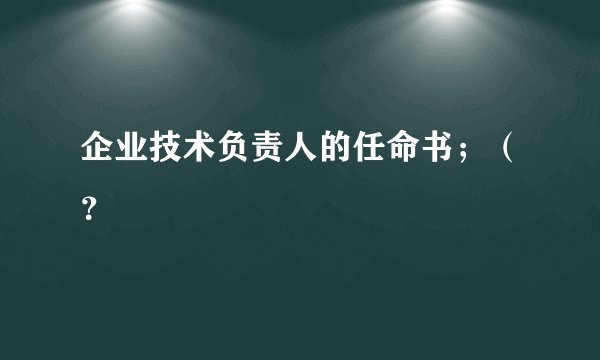 企业技术负责人的任命书；（？