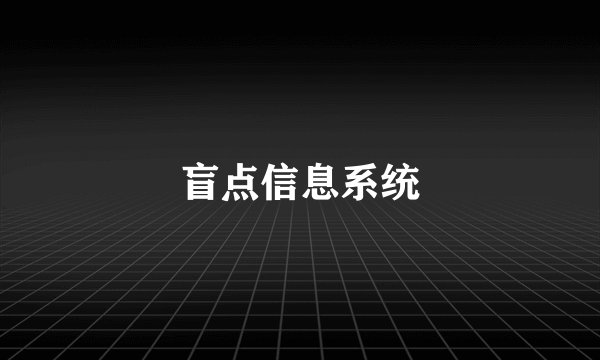 盲点信息系统