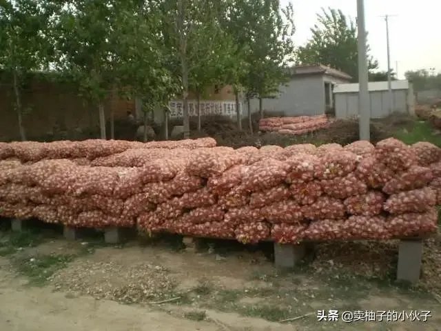 大蒜降价了