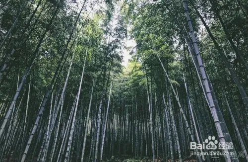 江苏省无锡市旅游景点介绍