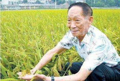 袁隆平有哪些贡献？