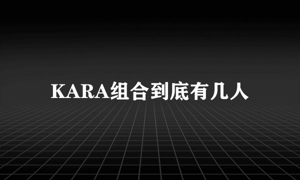 KARA组合到底有几人