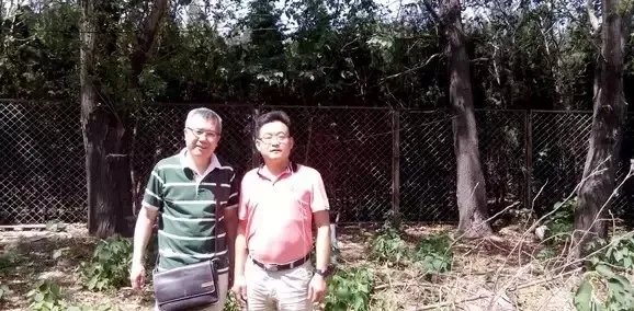 52岁大叔,在北京用集装箱造了一栋“桃花源”别墅,看完就膜拜了!