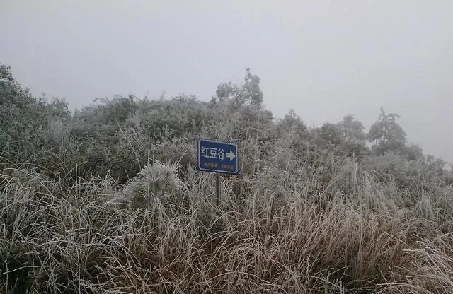 大田有没有什么好玩的地方?
