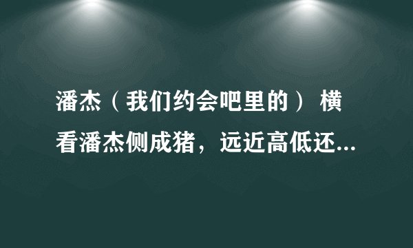 潘杰(我们约会吧里的) 横看潘杰侧成猪,远近高低还是猪。不懂神的真面目,潘杰答道我是猪。