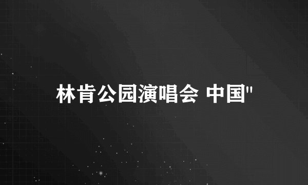林肯公园演唱会 中国